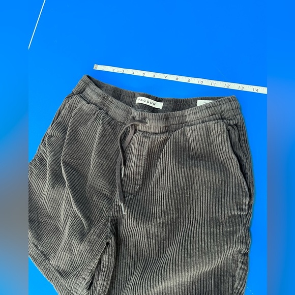 Pacsun Men’s Corduroy Volley Shorts. Size Small. Pristine. - Picture 4 of 5
